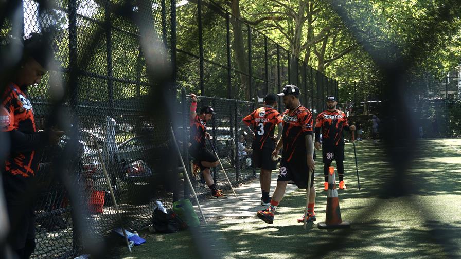 vitilla en new york pulsord republica dominicana santo domingo