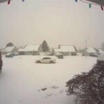 EE. UU: - Tormenta de nieve azota 30 estados en EE. UU., afectando a comunidades dominicanas httpsresources.diariolibre.comimages20260125crop-w1417-h945-dominicanos-en-ee-uu-relatan-como-viven-la-tormenta-invernal-ec8d7de8-focus-0-0-400-300