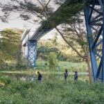 httpsresources.diariolibre.comimages20260211busqueda-de-motorista-en-rio-isabela-continuara-el-jueves-c0dfd687-focus-0-0-400-300