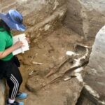 httpsresources.diariolibre.comimages20260217hallan-osamentas-en-pueblo-viejo-en-proyecto-de-cacique-enriquilo-6b0d216a-focus-0-0-400-300