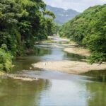 httpsresources.diariolibre.comimages20260402adulto-mayor-ahogado-en-rio-la-luisa-en-dajabon-92618d57-focus-min0.39-min0.27-400-300