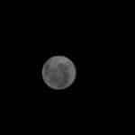 La Luna Revela su Rostro Oculto a los Ojos Humanos por... httpsresources.diariolibre.comimages20260405la-nasa-publica-foto-de-la-cara-oculta-luna-en-mision-artemis-ii-32a9280a-focus-0-0-400-300-3