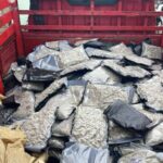 Droga Sintética Incautada en Operativo en Azua httpsresources.diariolibre.comimages20260409decomisan-151-paquetes-de-marihuana-sintetica-en-azua-1113206c-focus-0-0-400-300-4